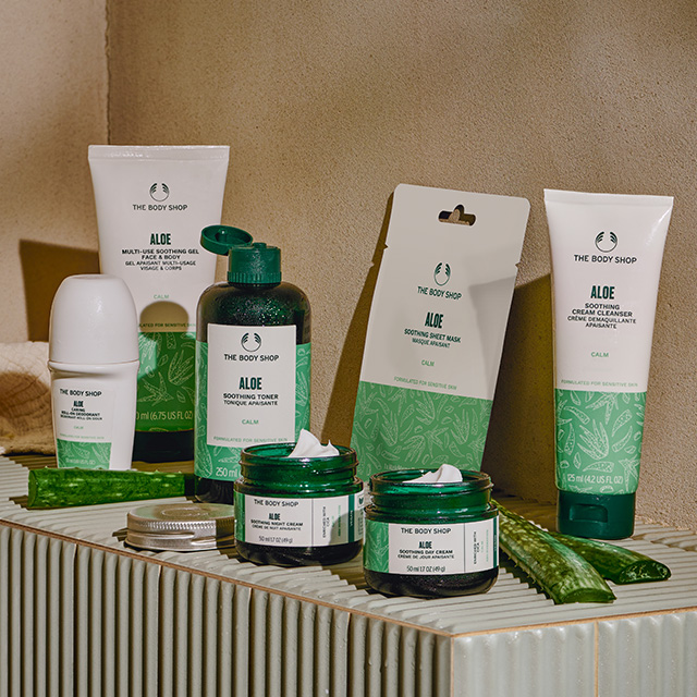 Aloe_Day_Routine_RANGE_INAEHPS475_1